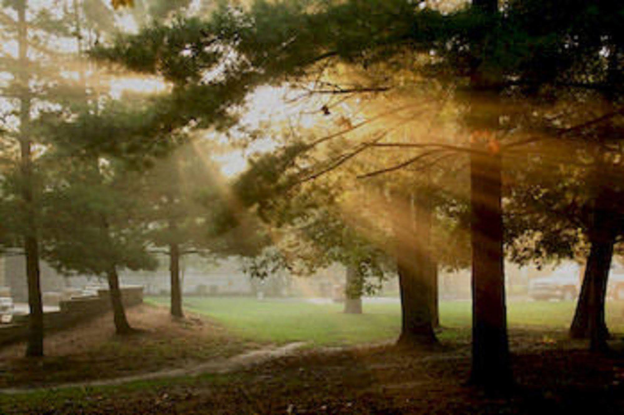 Starved Rock Lodge & Conference Center Utica Extérieur photo